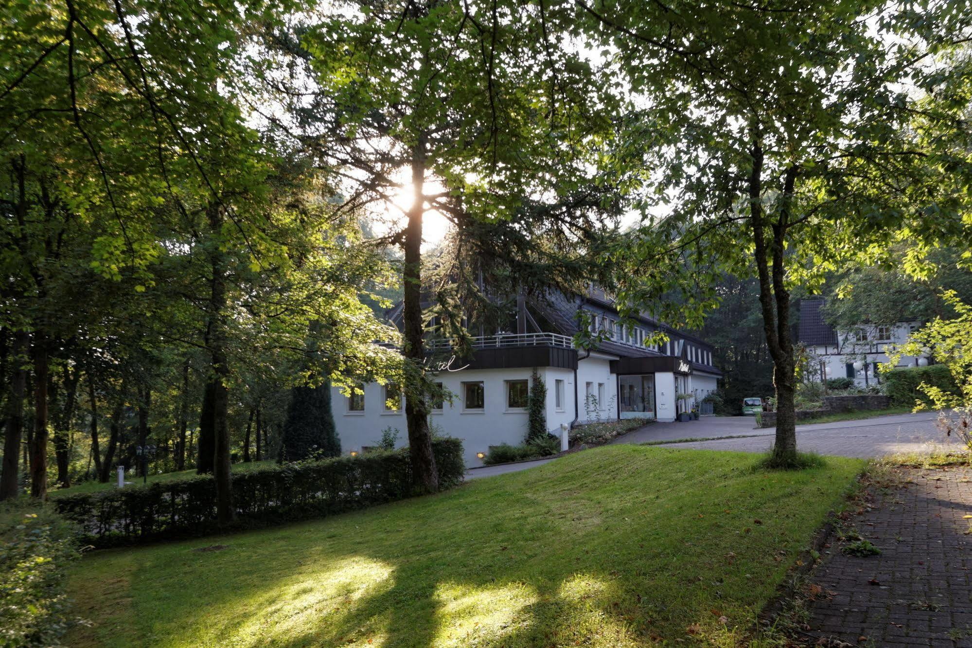 Waldhotel Wilhelmshoehe Freudenberg  Exterior photo